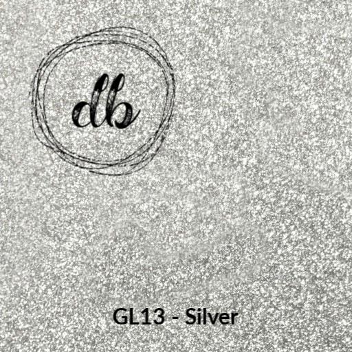Siser Glitter HTV 20 x 12 Sheet - Iron on Heat Transfer Vinyl (Silver)