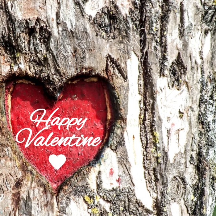 Be Mine Valentine