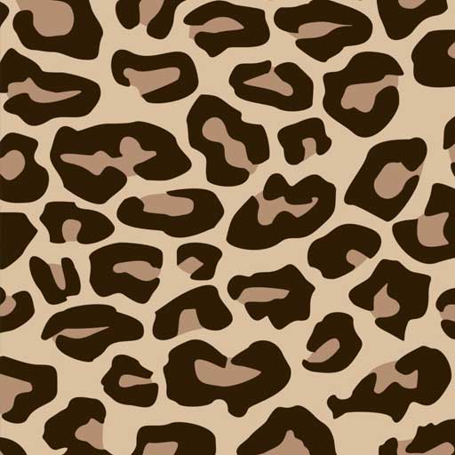 EW Leopard/Cheetah - EasyWeed® HTV **Read Instructions for use-Design Blanks