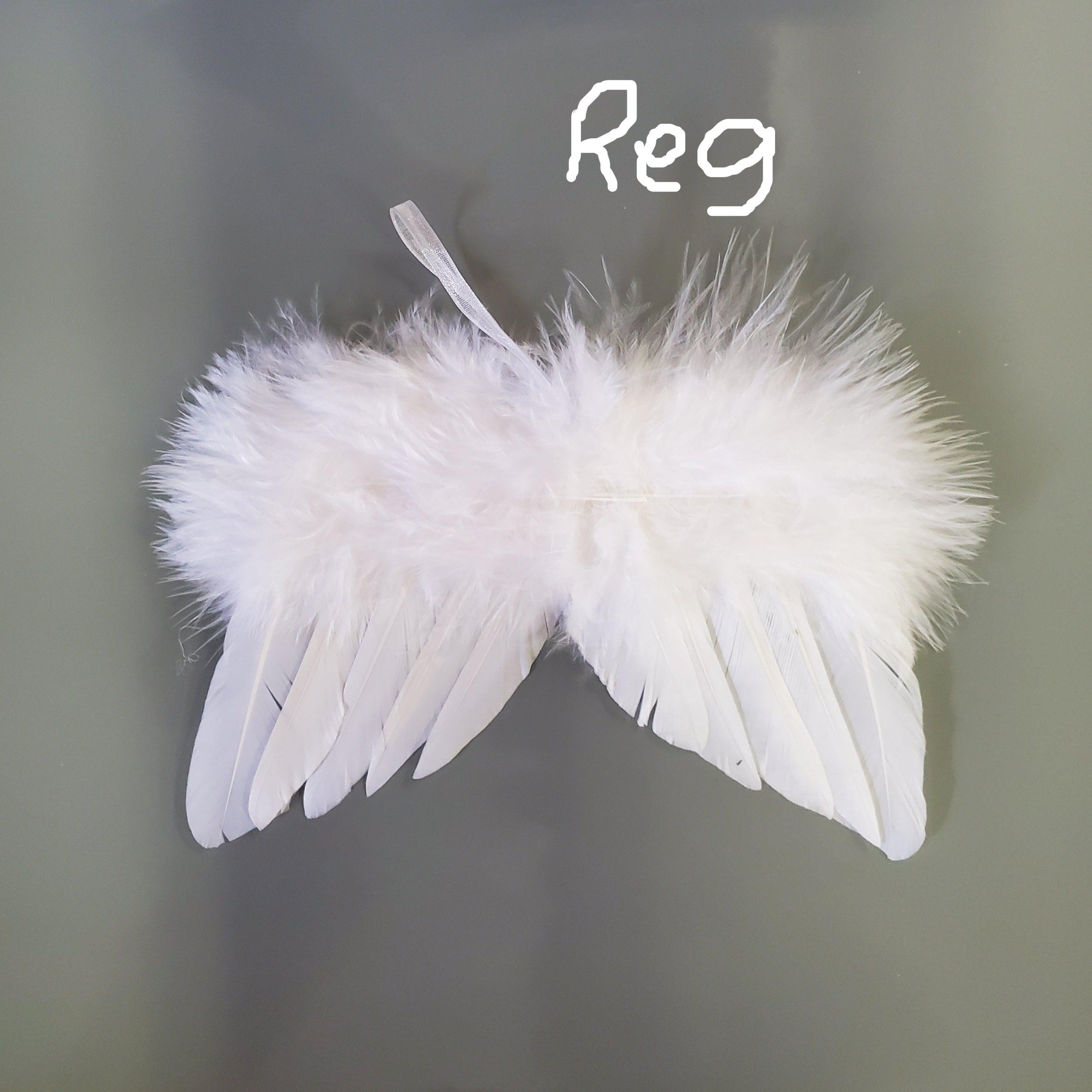 Feather Angel Wings-Design Blanks