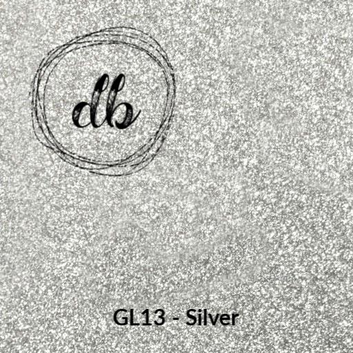 GL13 Silver – Glitter HTV-Design Blanks