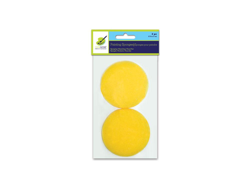 Painting Sponge 2 pack-Design Blanks