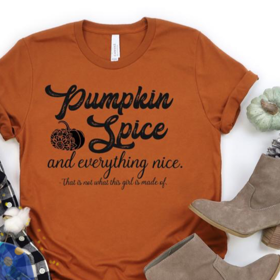 Pumpkin Spice and Everything Nice - Screen Print Transfer-Design Blanks
